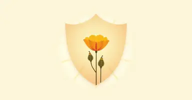 US state privacy laws map and compliance guide for 2026