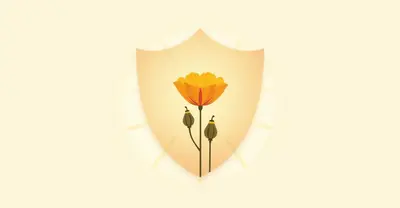 US state privacy laws map and compliance guide for 2026