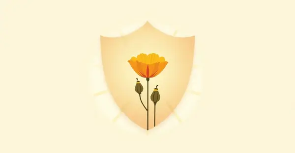 US state privacy laws map and compliance guide for 2026